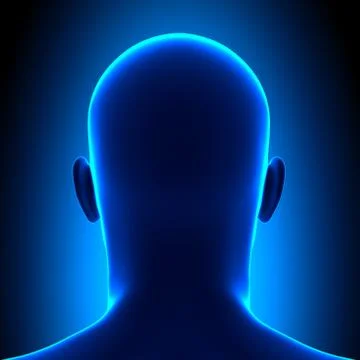 Anatomy Head - Back View - Blue concept 스톡 일러스트