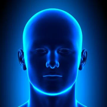 Anatomy Head - Front View - Blue concept 스톡 일러스트