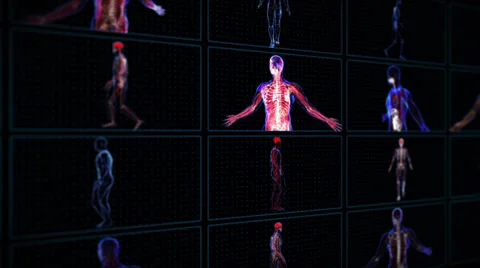 Anatomy of the human body 動画素材 37349774