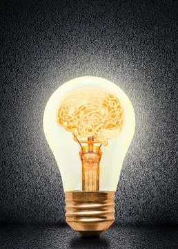 Anatomy of Human Brain Glowing Inside Light Bulb Stock Photos
