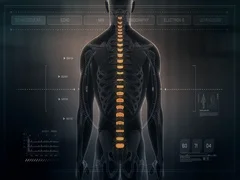 Anatomy Of Human Male Rib Cage On Futuri Stock Video Pond5