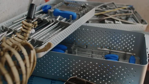 Anatomy of the human skeleton. Stock Footage 232487461