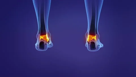 Anatomy of the human talus Vídeo Stock 168794318