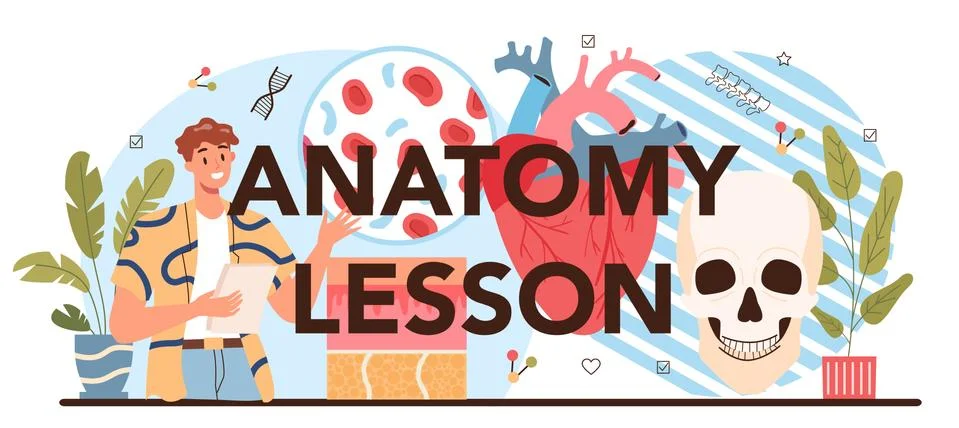 Anatomy lesson typographic header. Internal human organ studying. Stock Illustration