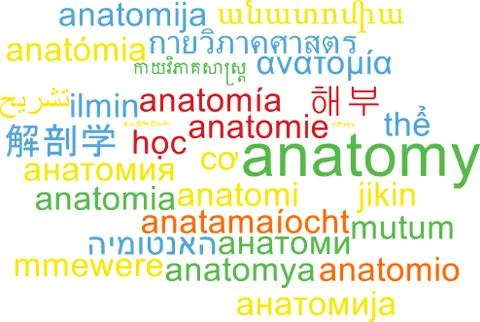 Anatomy multilanguage wordcloud background concept Stock Illustration