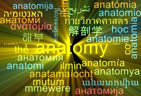 Anatomy multilanguage wordcloud background concept glowing Stock Illustration