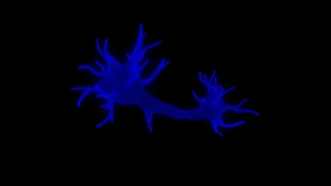 Anatomy of a Neuron - Rotating Animaiton Stock Footage 280076334