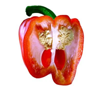 Anatomy of pepper. Stock-Fotos