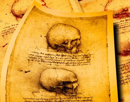 Anatomy Фото