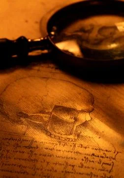 Anatomy Stock Photos