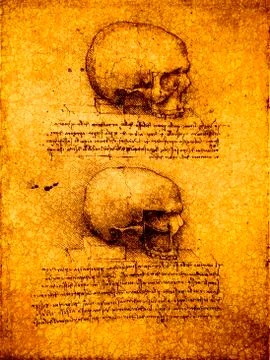 Anatomy Stock Photos