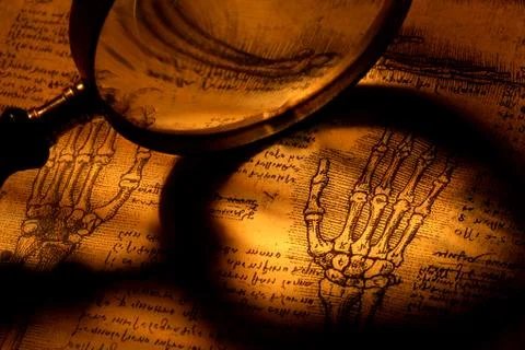 Anatomy Stock Photos