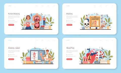 Anatomy school subject web banner or landing page set. Internal human Stock Illustration
