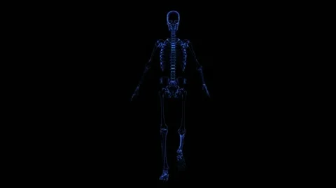 Anatomy: skeleton Stock-Footage 21744939