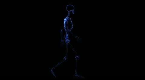 Anatomy: skeleton Stock-Footage 21745095
