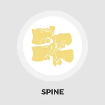 Anatomy spine icon flat Illustrazione stock