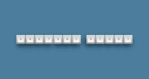 Anatomy study text on a 3d keyboard button with shadow concept series Иллюстрация