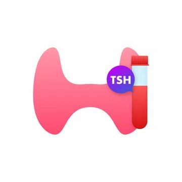 Anatomy of the thyroid gland, Thyroid of a human. Infographic for medical design 库存插图