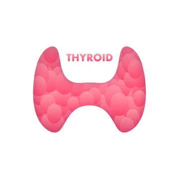 Anatomy of the thyroid gland, Thyroid of a human. Infographic for medical design Illustrazione stock