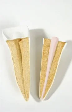  Anatomy, tooth Anatomic model of an human upper incisor (frontal section ... Stock Photos