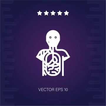 Anatomy vector icon Stock Illustration