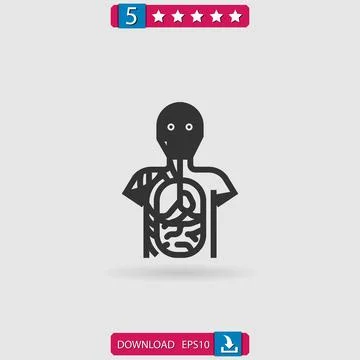 Anatomy vector icon Stock-Illustration