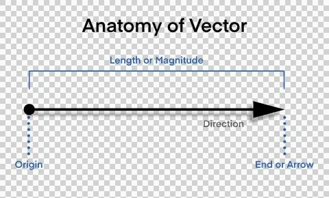 Anatomy of a Vector, Origin, Length or Magnitude, Direction, and End or Arrow. Stock Illustration