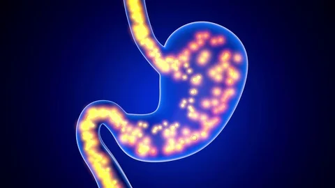 Anatomy visualisation of the digestive process in a human stomach Video stock 76942417