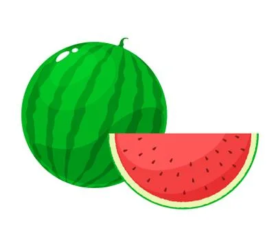 The Anatomy of Watermelon fruit. Stock Illustration