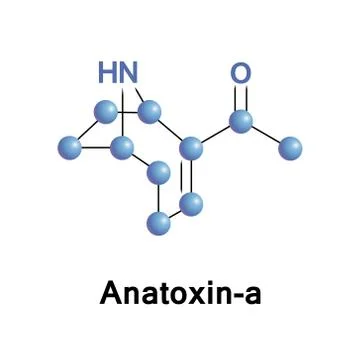 Anatoxin-a or VFDF Stock Illustration