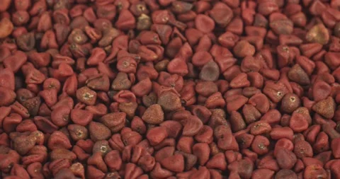 Anatto seeds closeup rotating selective focus Stock Footage 156860042
