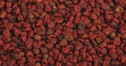 Anatto seeds closeup rotating selective focus 動画素材 168799562