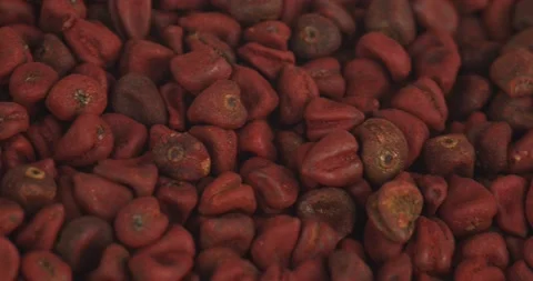 Anatto seeds closeup rotating selective focus Stock Footage 199632112