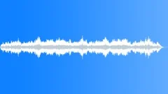 Ancestors Return (flute,synth) Stock Music