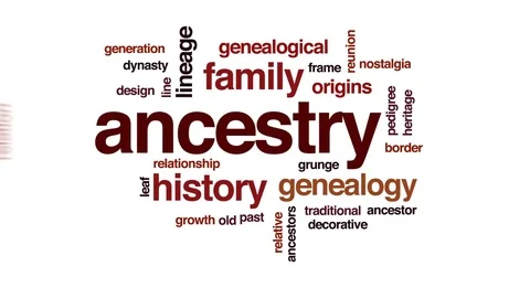 ancestry photo animation