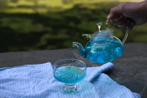 Anchan blue tea 2 Stock Photos
