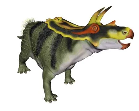 Anchiceratops dinosaur - 3D render Stock Illustration