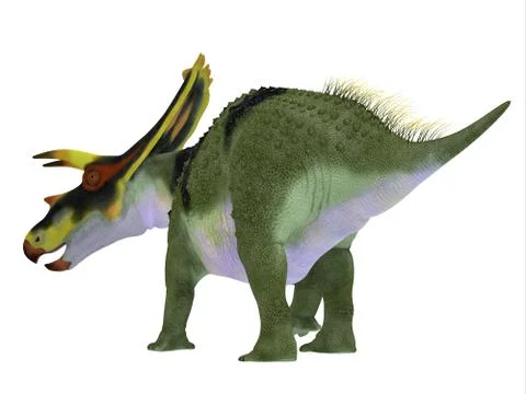 Anchiceratops Dinosaur Tail Stock Illustration