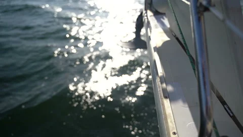 Anchor dipped in water 動画素材 117422792