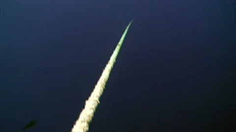 Anchor line underwater Video stock 42904814