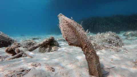 Anchor old sand Stockbeeldmateriaal 215802775