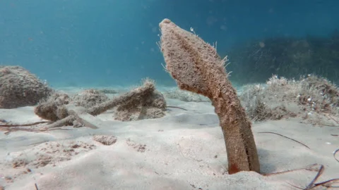 Anchor old sand Stockbeeldmateriaal 215811665