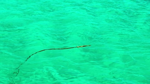 An anchor rope with a loop for mooring yachts drifts on the sea water. Video stock 328655614