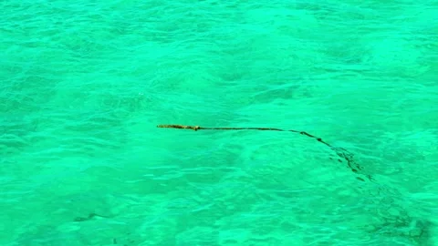 An anchor rope with a loop for mooring yachts drifts on the sea water. Stock Footage 328655619