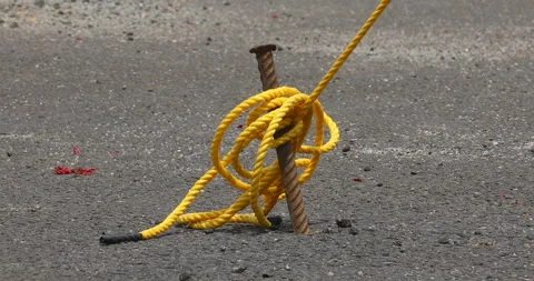 Anchor a Tent with Rope Stock Footage 288117462