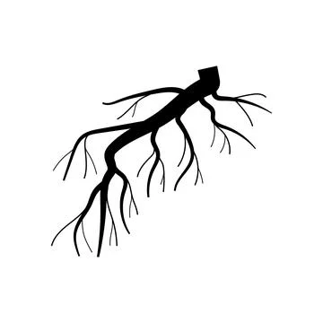 Anchor tree root cartoon vector illustration Stock Illustration