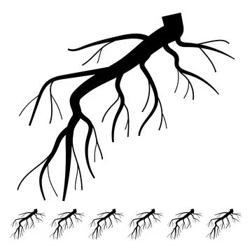 Anchor tree root cartoon vector graphic Stock Illustration
