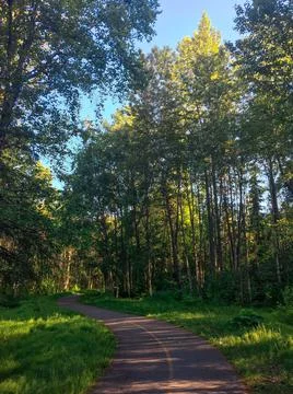 The Anchorage forest trail Stock Photos