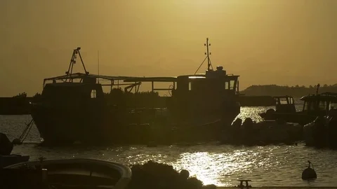 Anchored boat moored on harbor during sunset Stock Footage