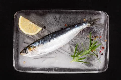 Anchovy fish on ice. Stock Photos